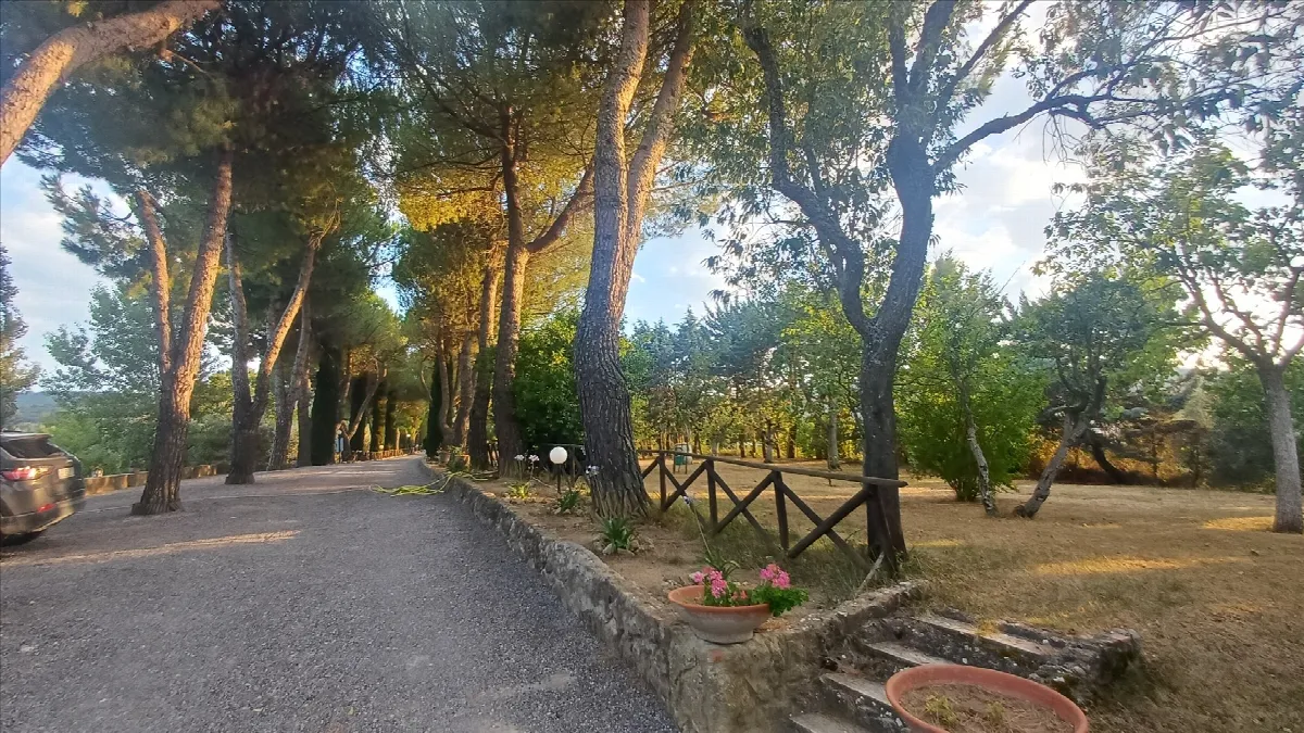 Rustico in vendita a Sarteano - foto 10
