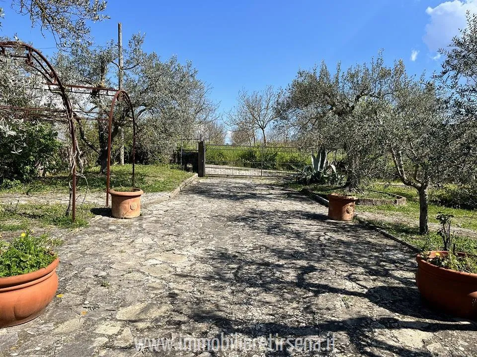 Villa in vendita a Orvieto - foto 4