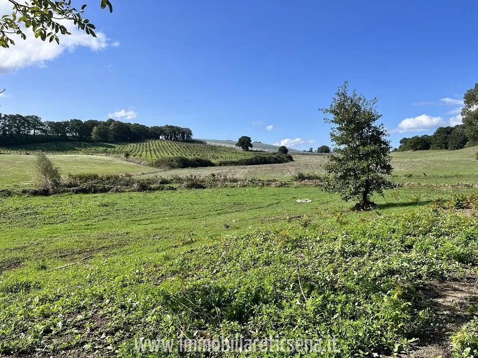 Rustico in vendita a Orvieto - Torre San Severo - foto 4