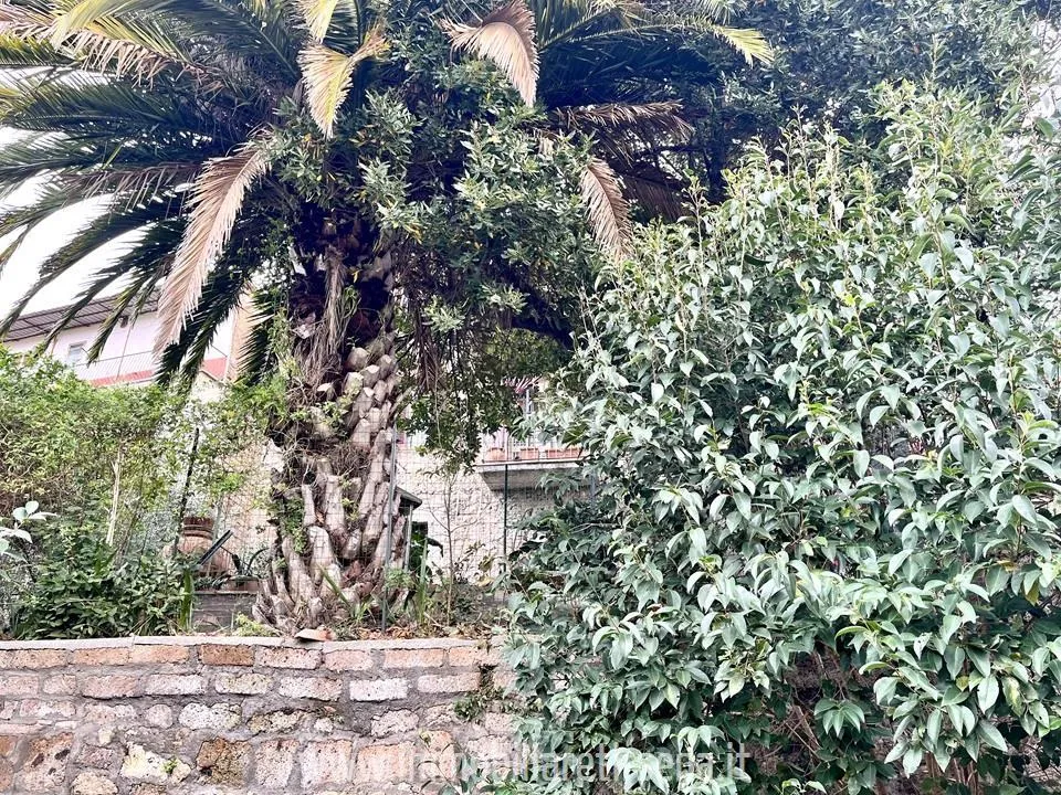 Casa indipendente in vendita a Castiglione in Teverina - foto 10