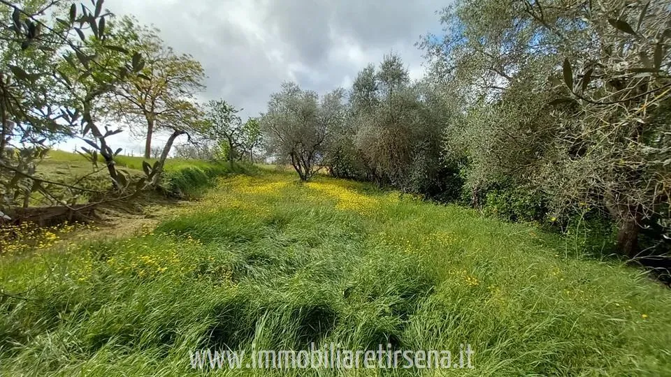Rustico in vendita a Ficulle - Olevole - foto 7