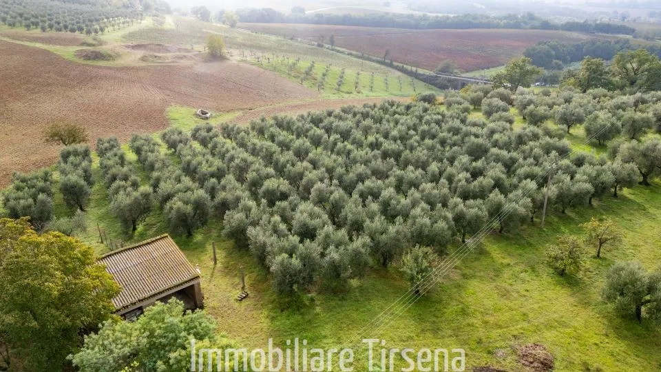 Rustico in vendita a Orvieto - foto 8