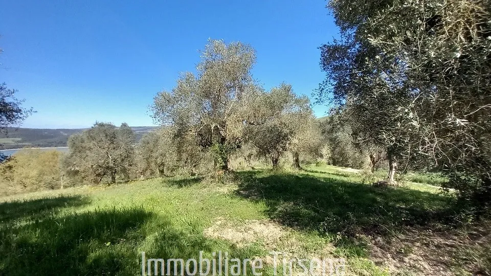 Rustico in vendita a Baschi - Cerreto - foto 6