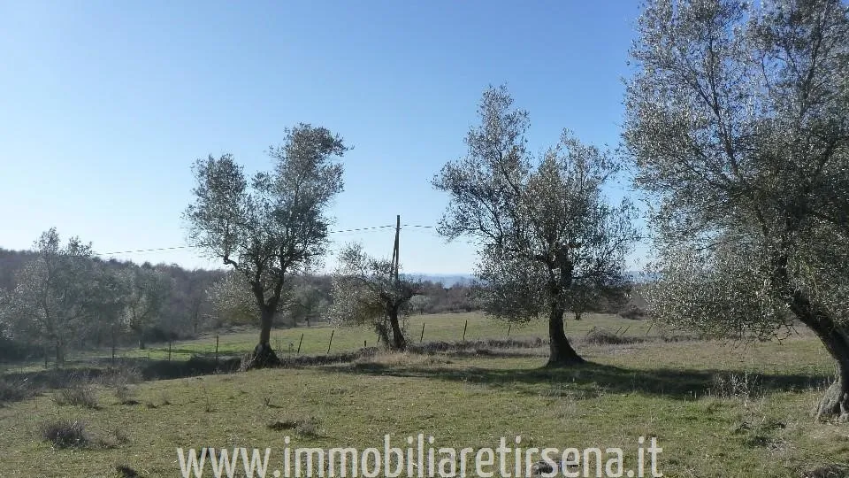Rustico in vendita a Montegabbione - foto 6