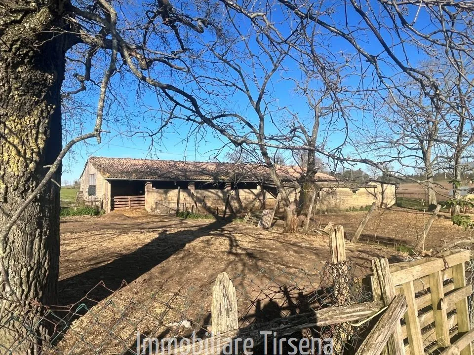 Rustico in vendita a Acquapendente - Torre Alfina - foto 6