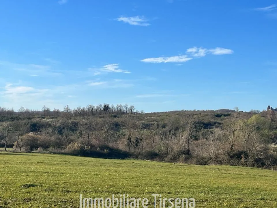 Rustico in vendita a Acquapendente - Torre Alfina - foto 9