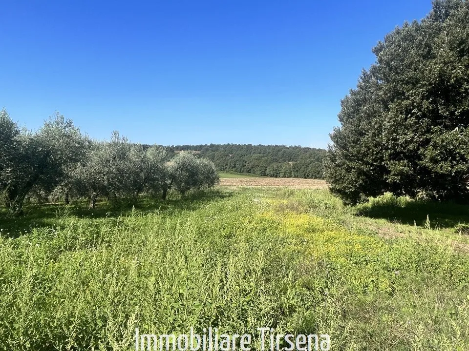 Rustico in vendita a Orvieto - foto 5