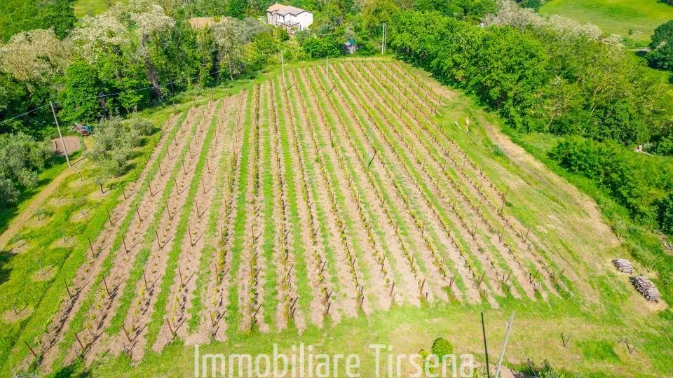 Rustico in vendita a Orvieto - Torre San Severo - foto 10