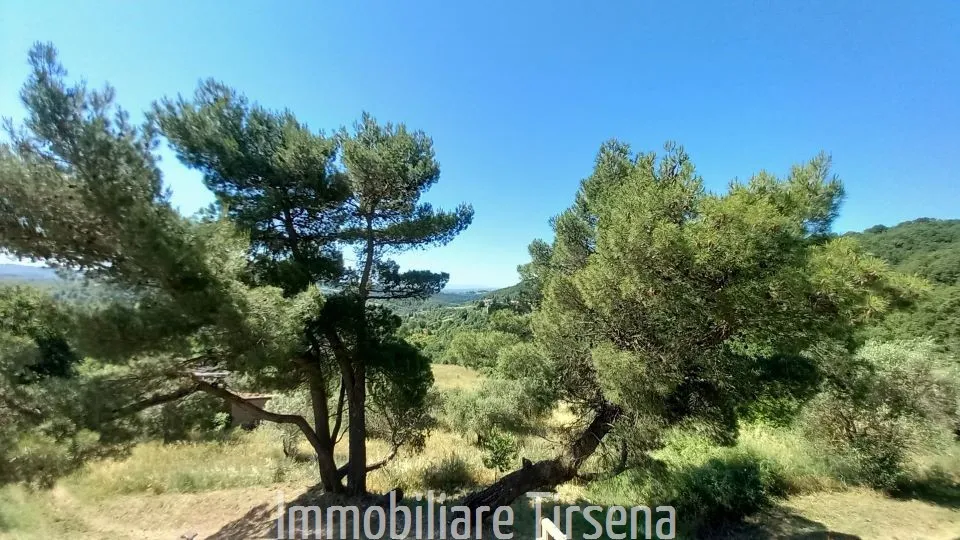Casa indipendente in vendita a San Venanzo - Settano - foto 10