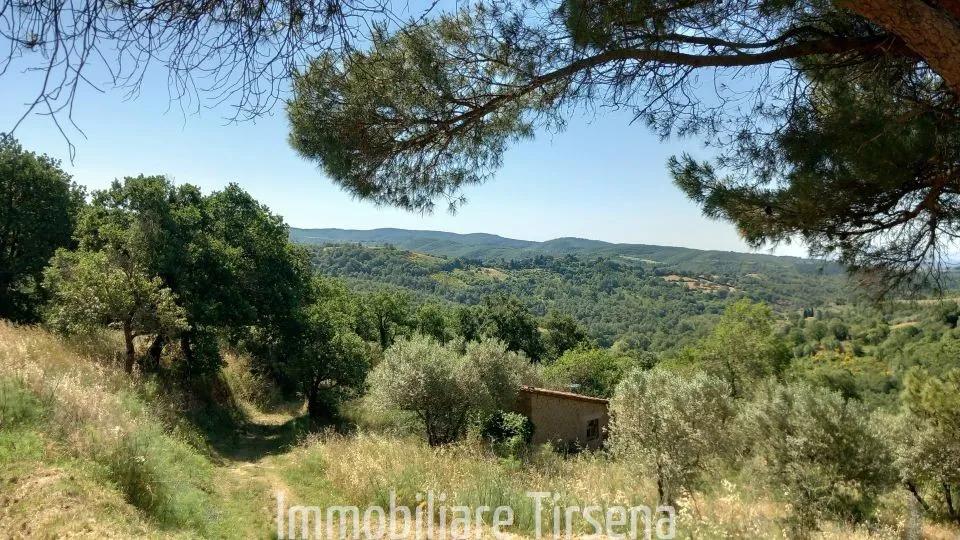 Casa indipendente in vendita a San Venanzo - Settano - foto 8