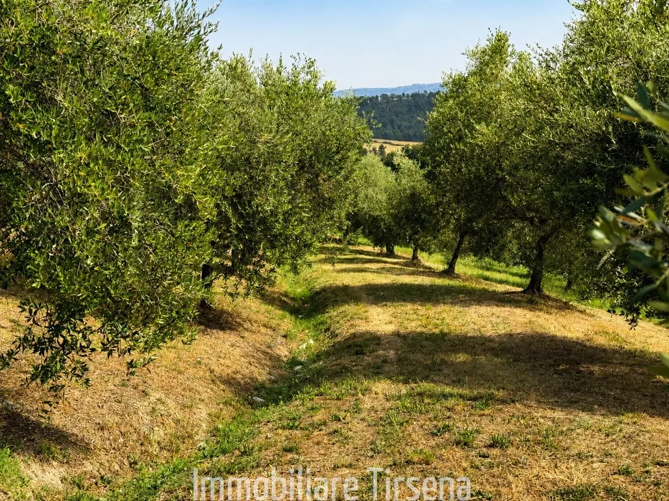 Rustico in vendita a Fabro - Fabro Scalo - foto 2