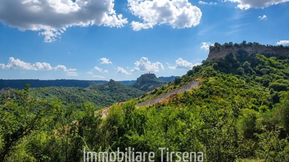 Villa in vendita a Lubriano - foto 10