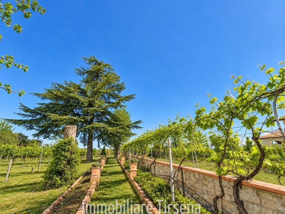 Villa in vendita a San Lorenzo Nuovo - foto 6