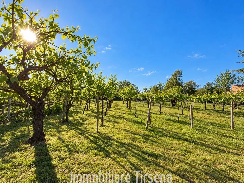 Villa in vendita a San Lorenzo Nuovo - foto 7