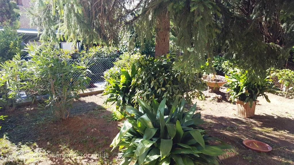 Appartamento in vendita a Siena - foto 3