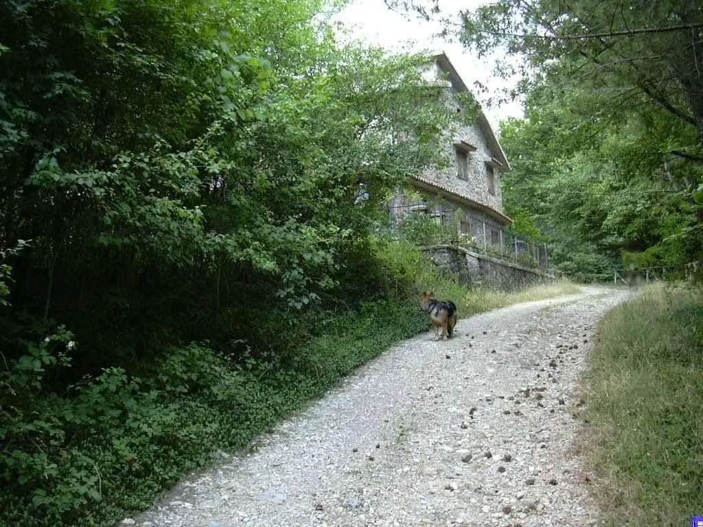 Rustico in vendita a Piancastagnaio - Saragiolo - foto 2