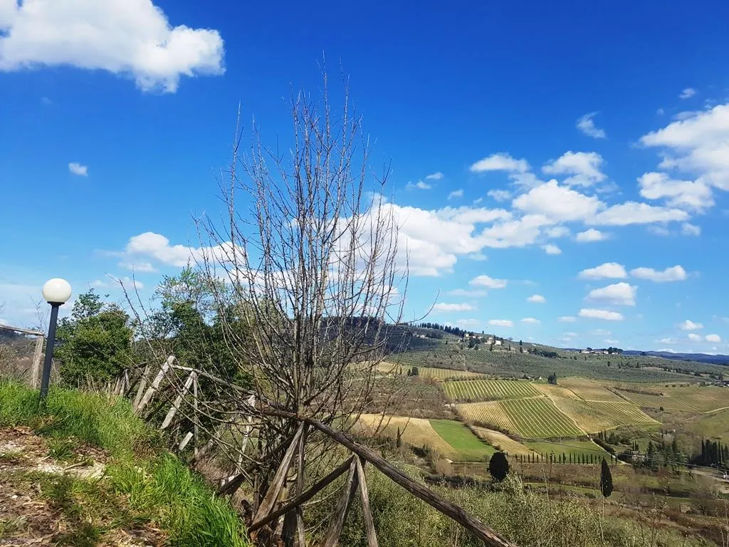 Rustico in vendita a Poggibonsi - San Martino Ai Colli - foto 2