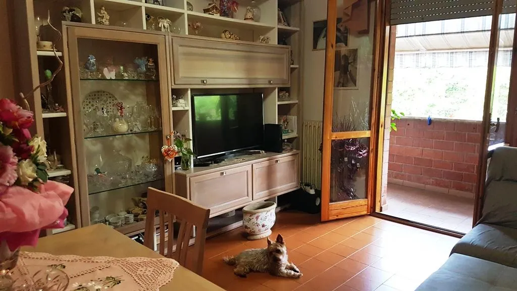 Appartamento in vendita a Siena - foto 6