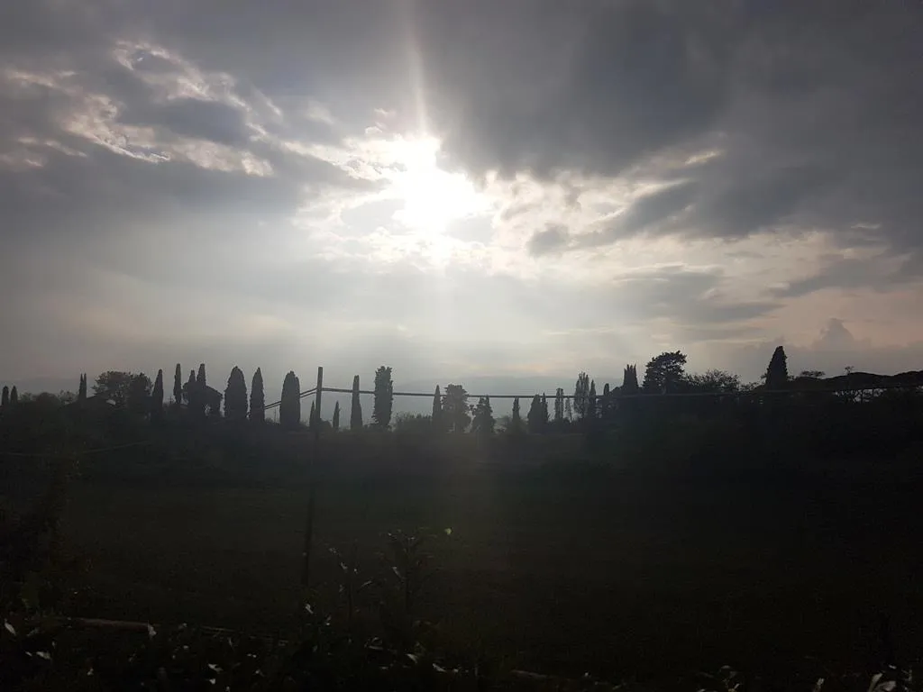 Appartamento in vendita a Sovicille - San Rocco A Pilli - foto 2