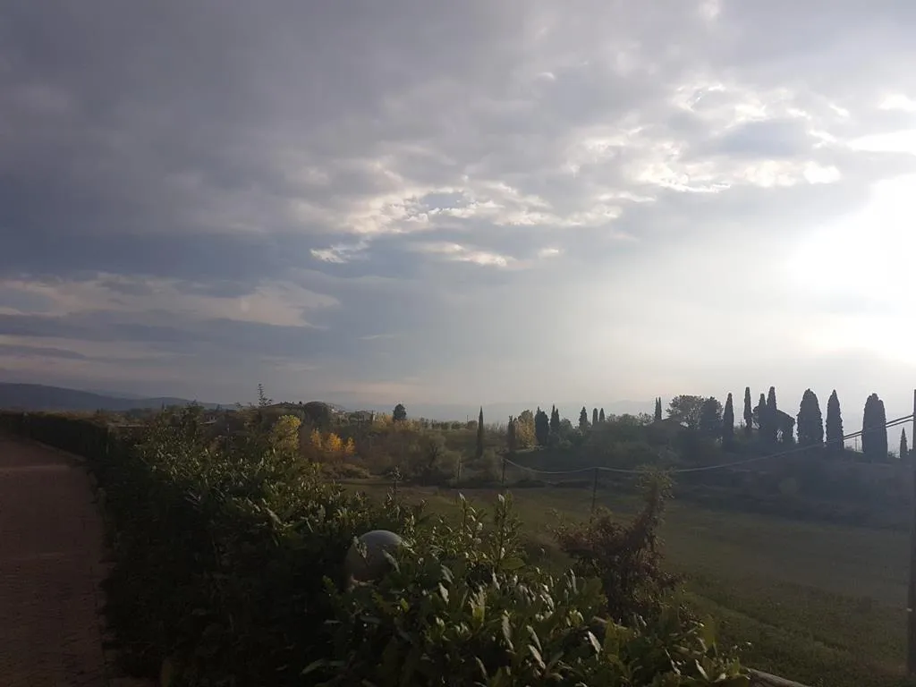 Appartamento in vendita a Sovicille - San Rocco A Pilli - foto 3