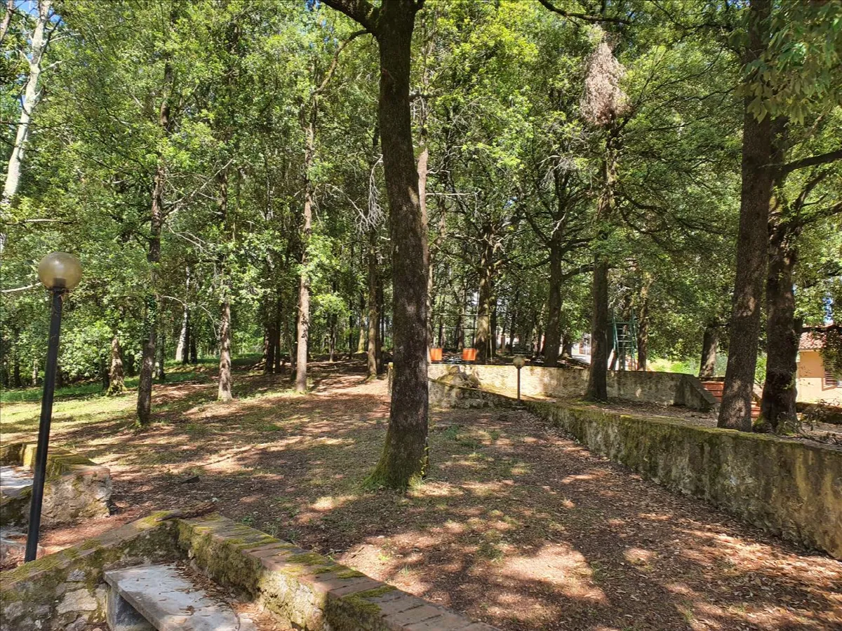 Villa in vendita a Sovicille - Carpineto - foto 4