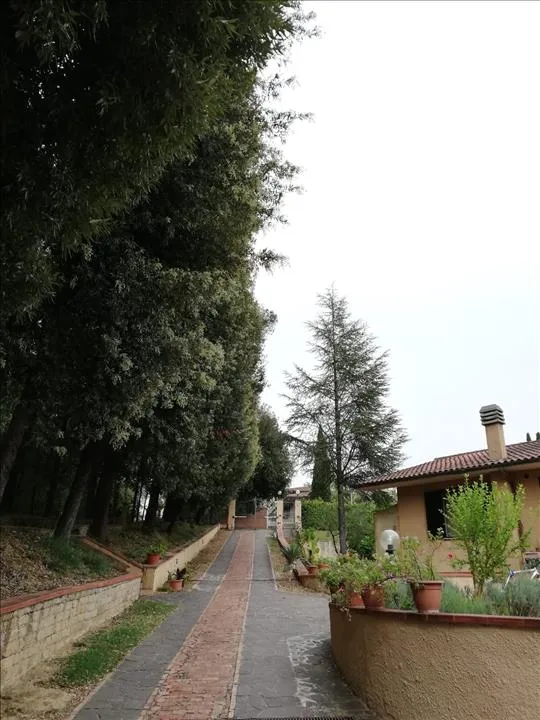 Villa in vendita a Sovicille - Carpineto - foto 6