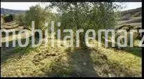 Rustico in vendita a Cinigiano - foto 3