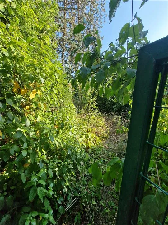 Appartamento in vendita a Castellina in Chianti - foto 10