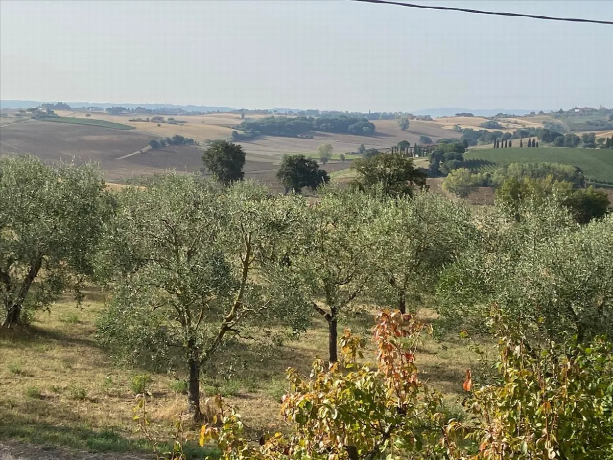 Casa indipendente in vendita a Castiglione del Lago - Gioiella - foto 4