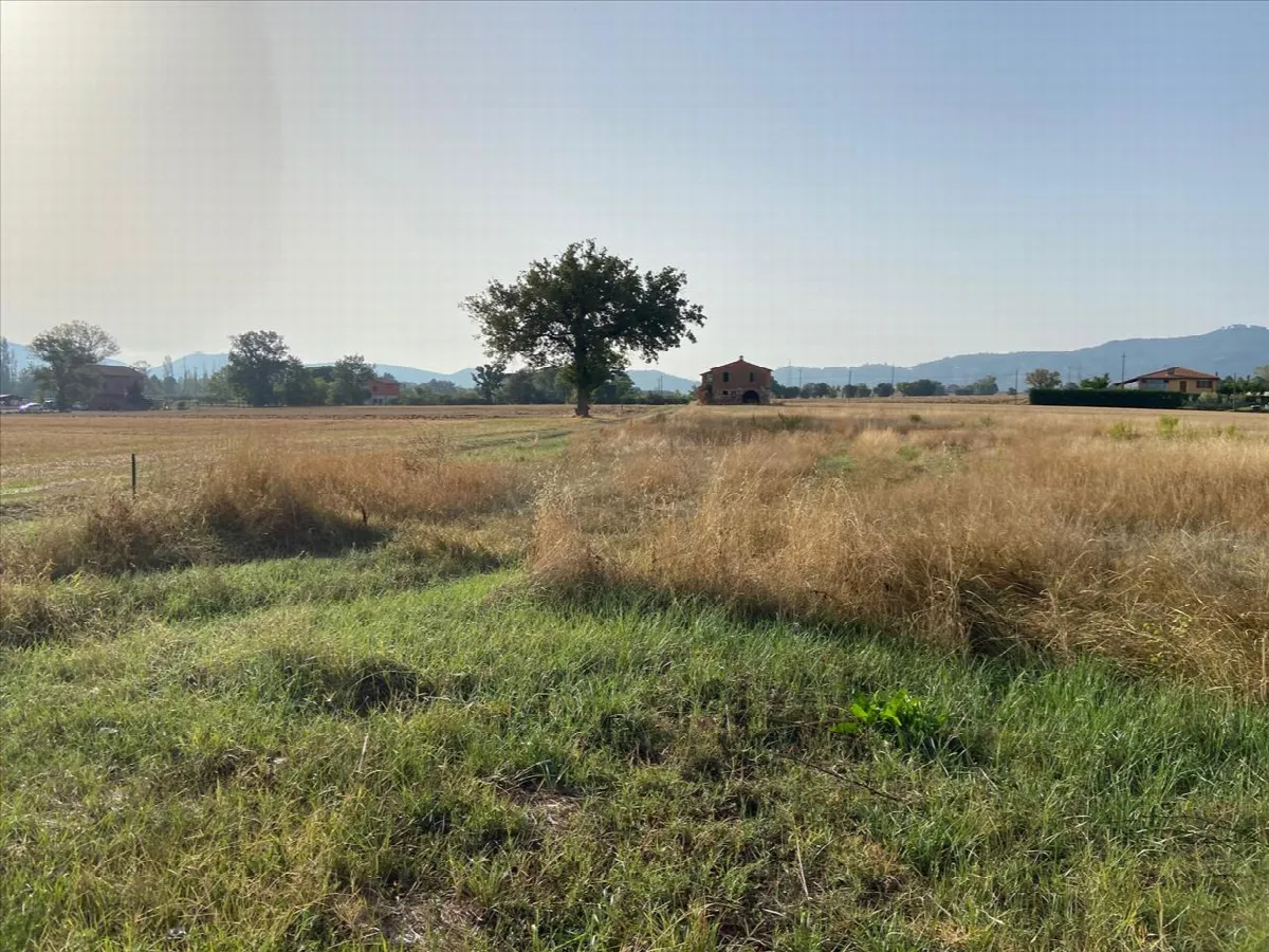 Casa indipendente in vendita a Castiglione del Lago - Gioiella - foto 9
