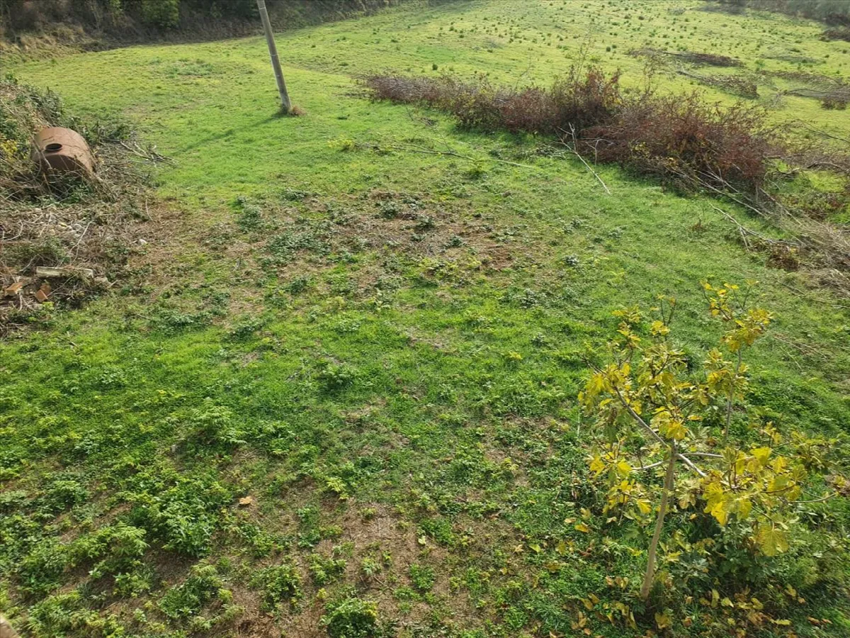 Rustico in vendita a Città della Pieve - foto 6