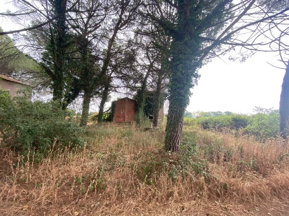 Rustico in vendita a Castiglione del Lago - foto 4