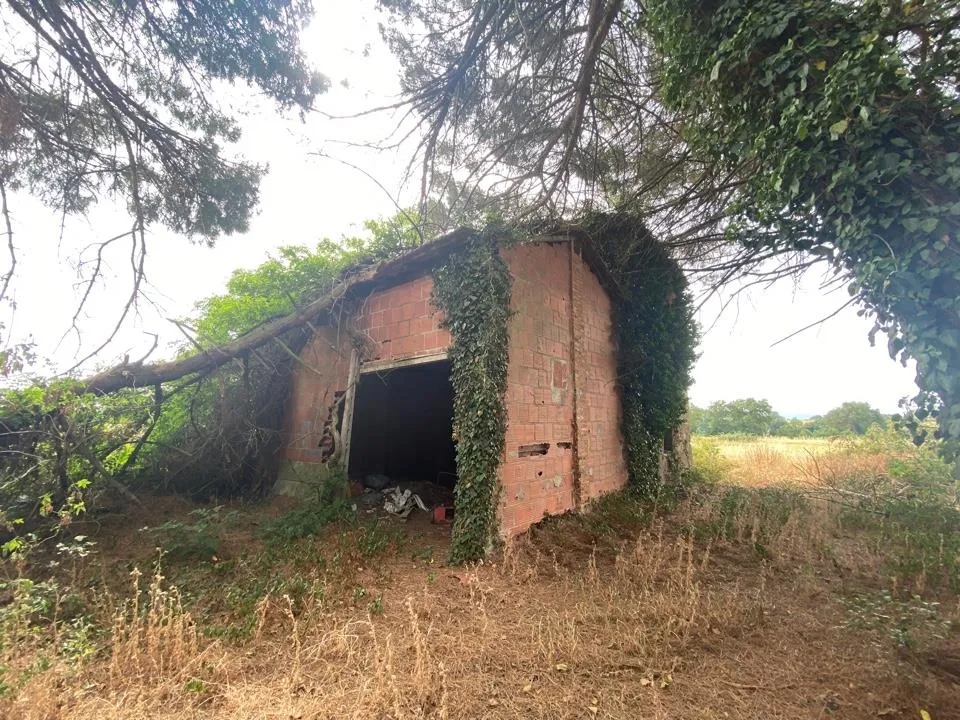 Rustico in vendita a Castiglione del Lago - foto 5