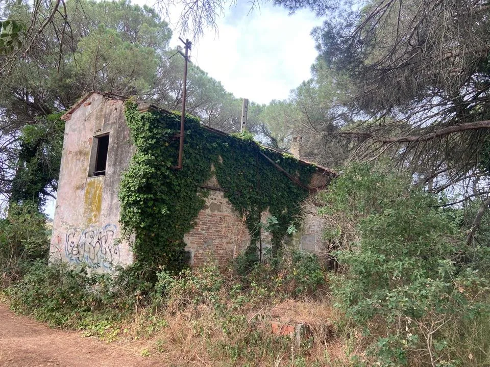 Rustico in vendita a Castiglione del Lago - foto 6