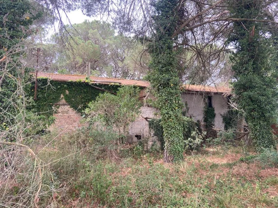 Rustico in vendita a Castiglione del Lago - foto 7