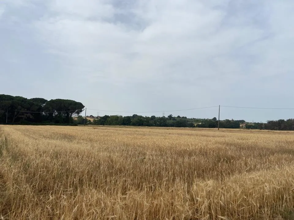 Rustico in vendita a Castiglione del Lago - foto 8