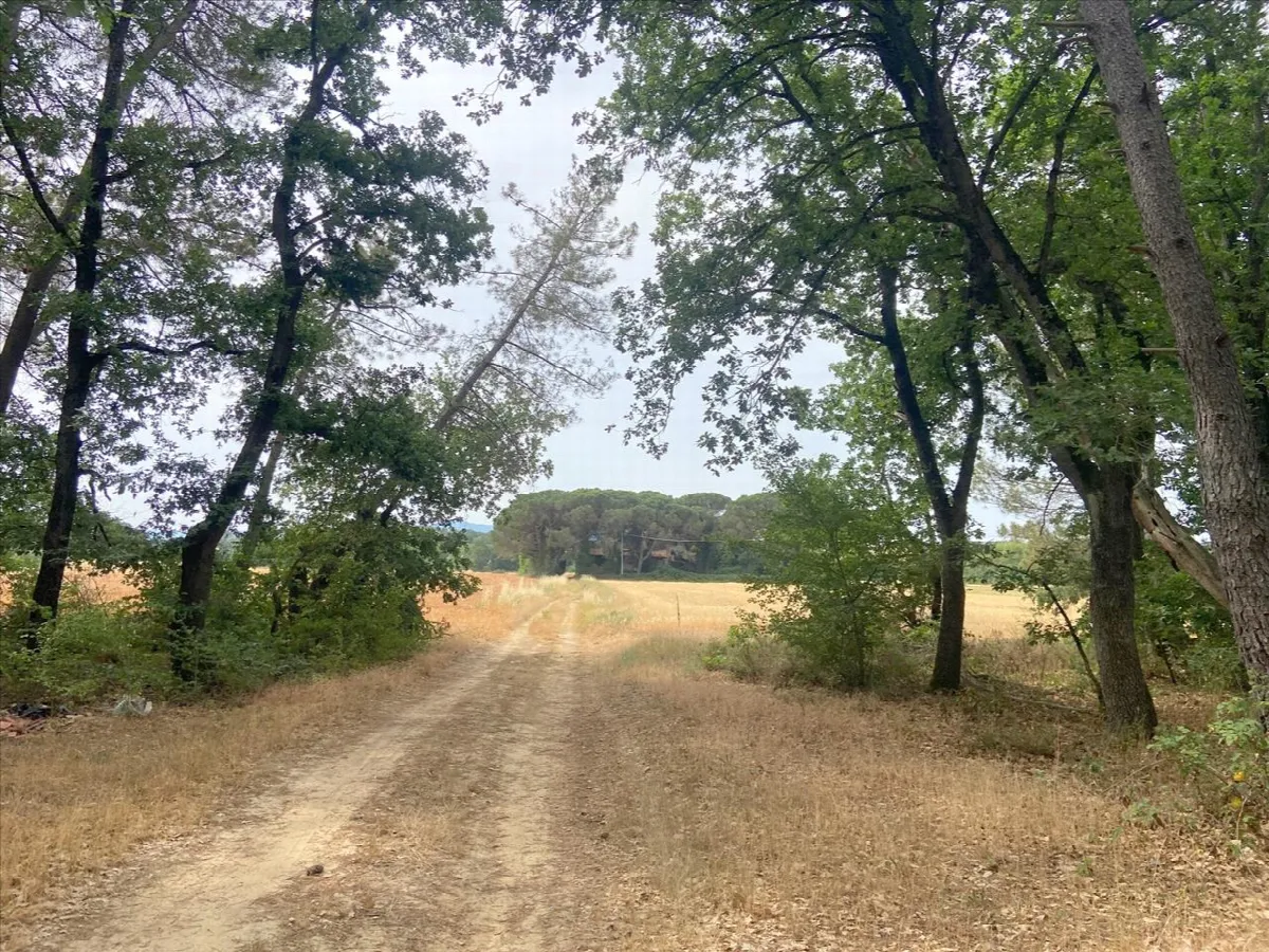 Rustico in vendita a Castiglione del Lago - foto 9