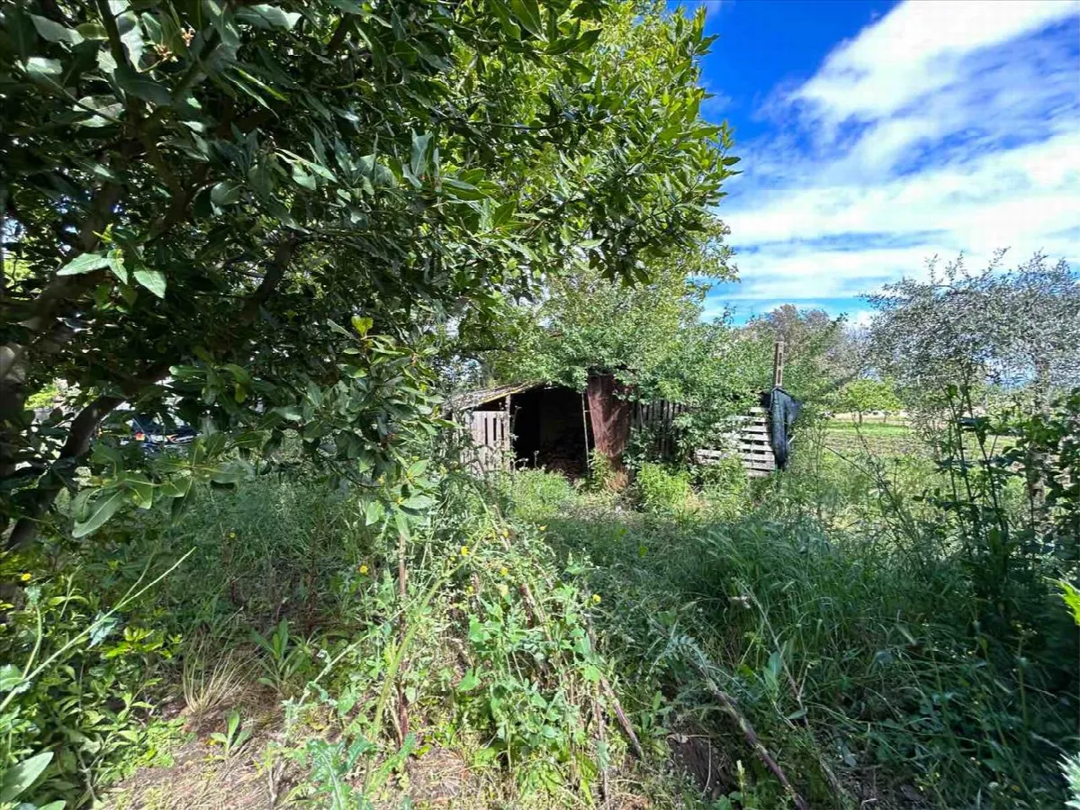 Casa indipendente in vendita a Castiglione del Lago - Panicarola - foto 9
