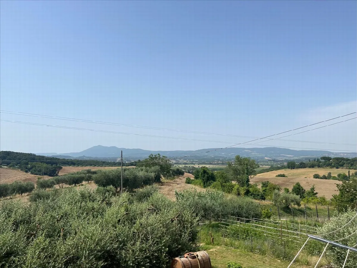 Casa indipendente in vendita a Castiglione del Lago - Porto - foto 2