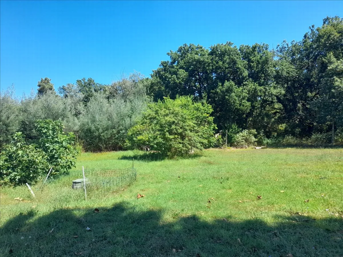 Casa indipendente in vendita a Castiglione del Lago - Bertoni - foto 10