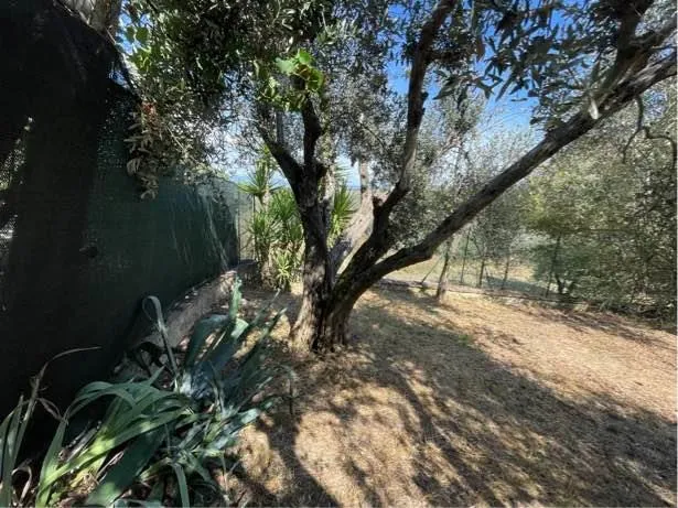 Casa indipendente in vendita a Castiglione del Lago - foto 7