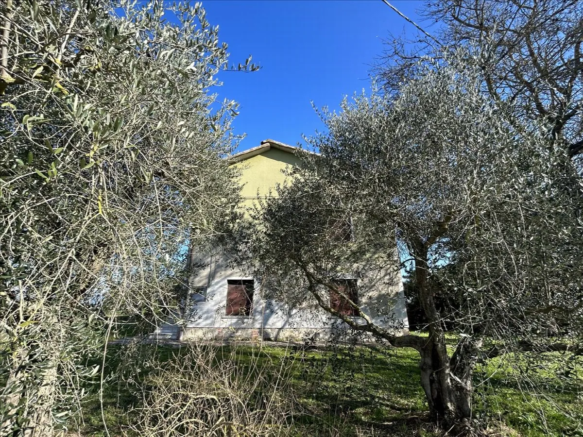 Casa indipendente in vendita a Castiglione del Lago - Piana - foto 2