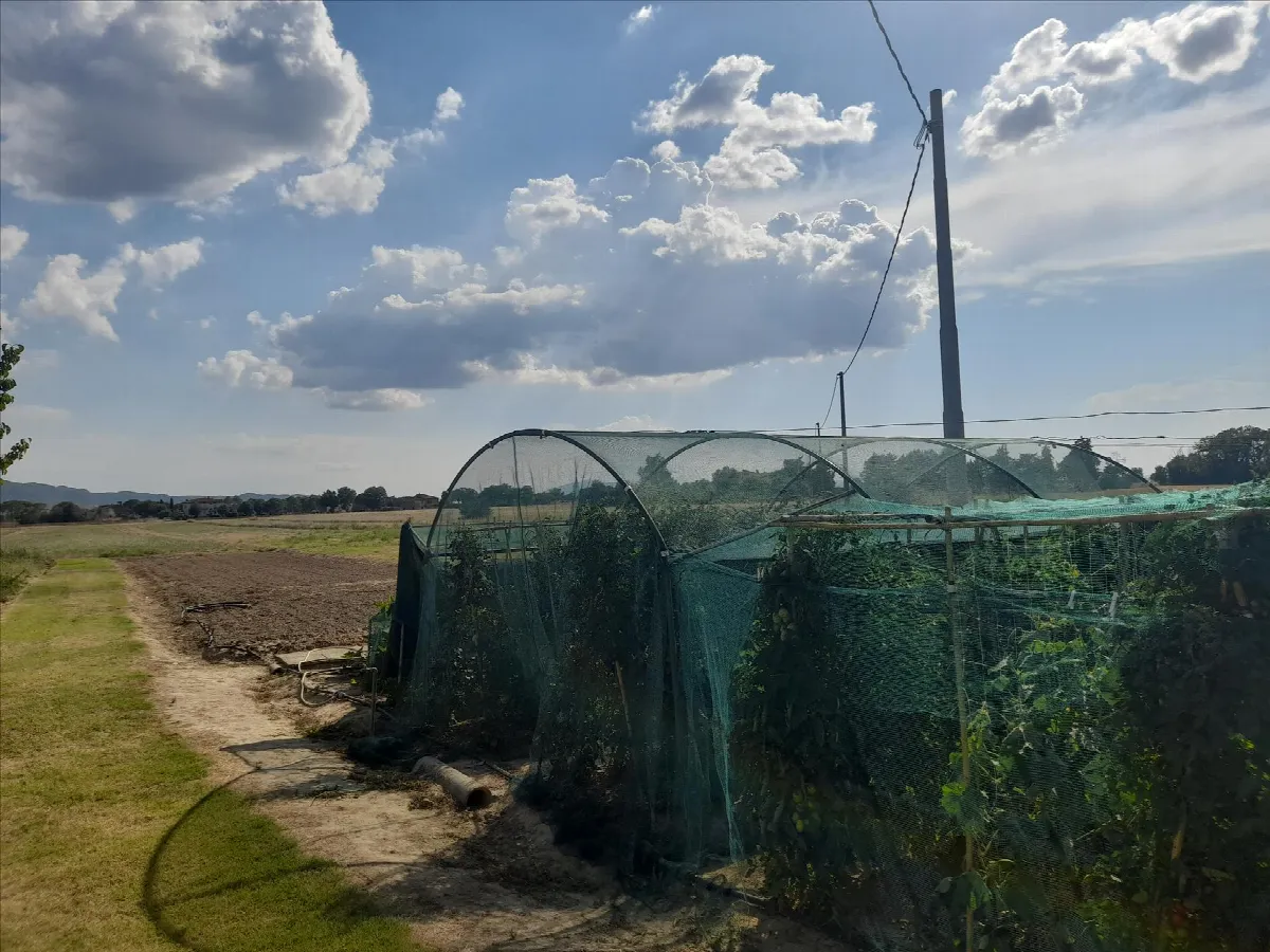 Appartamento in vendita a Panicale - Via Delle Parti - foto 7