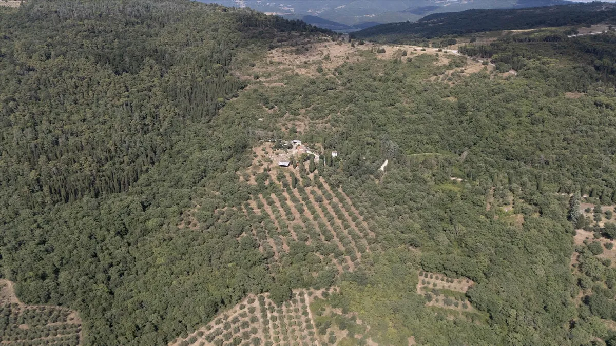 Rustico in vendita a Passignano sul Trasimeno - foto 5