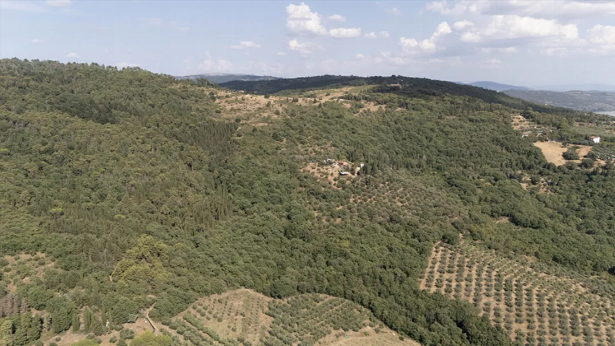 Rustico in vendita a Passignano sul Trasimeno - foto 8