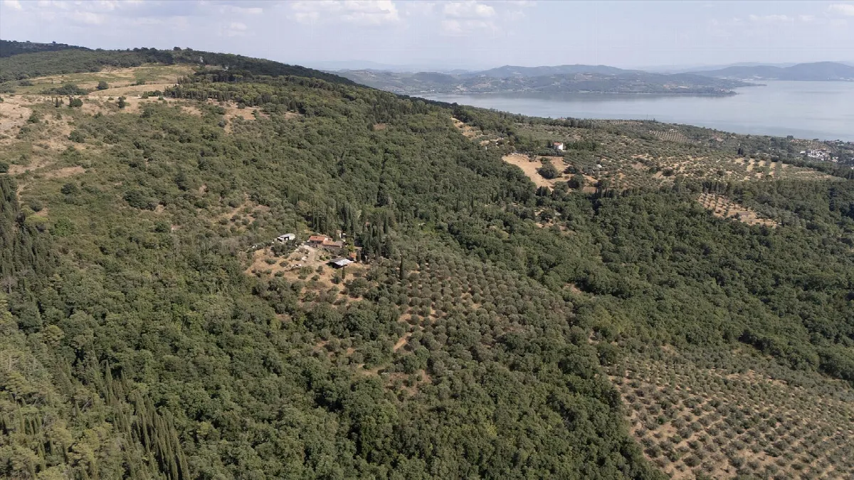 Rustico in vendita a Passignano sul Trasimeno - foto 9