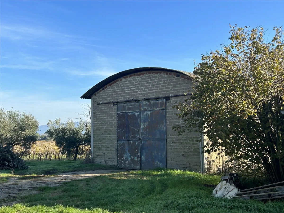 Rustico in vendita a Castiglione del Lago - foto 4