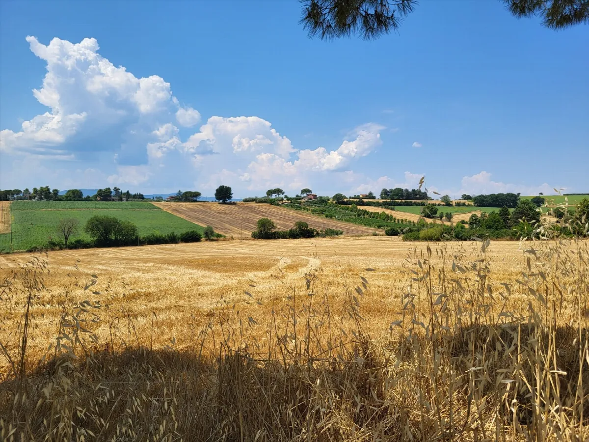 Rustico in vendita a Perugia - Pila - foto 9