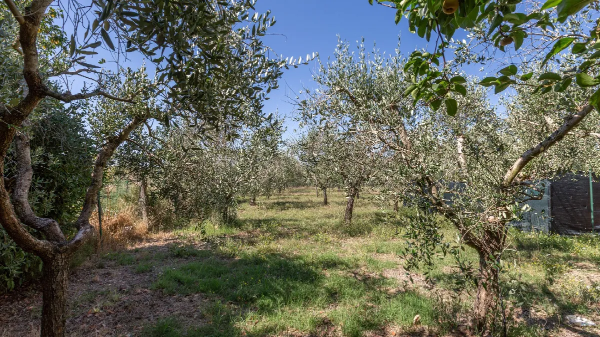Casa indipendente in vendita a Castiglione del Lago - foto 9
