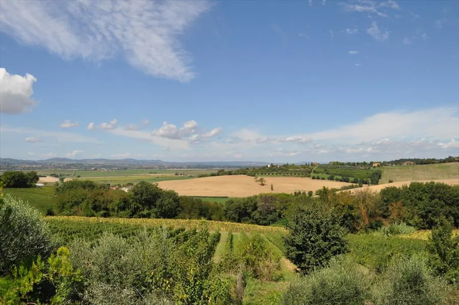 Casa indipendente in vendita a Castiglione del Lago - foto 10